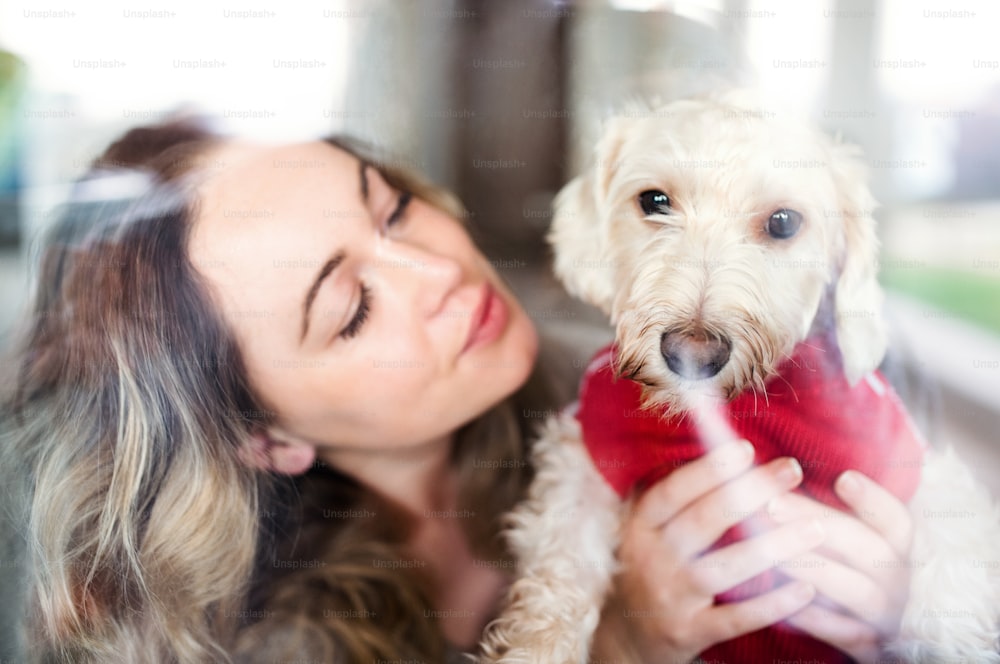 Vista frontale della giovane donna che si rilassa in casa con il cane da compagnia. Girato attraverso il vetro.