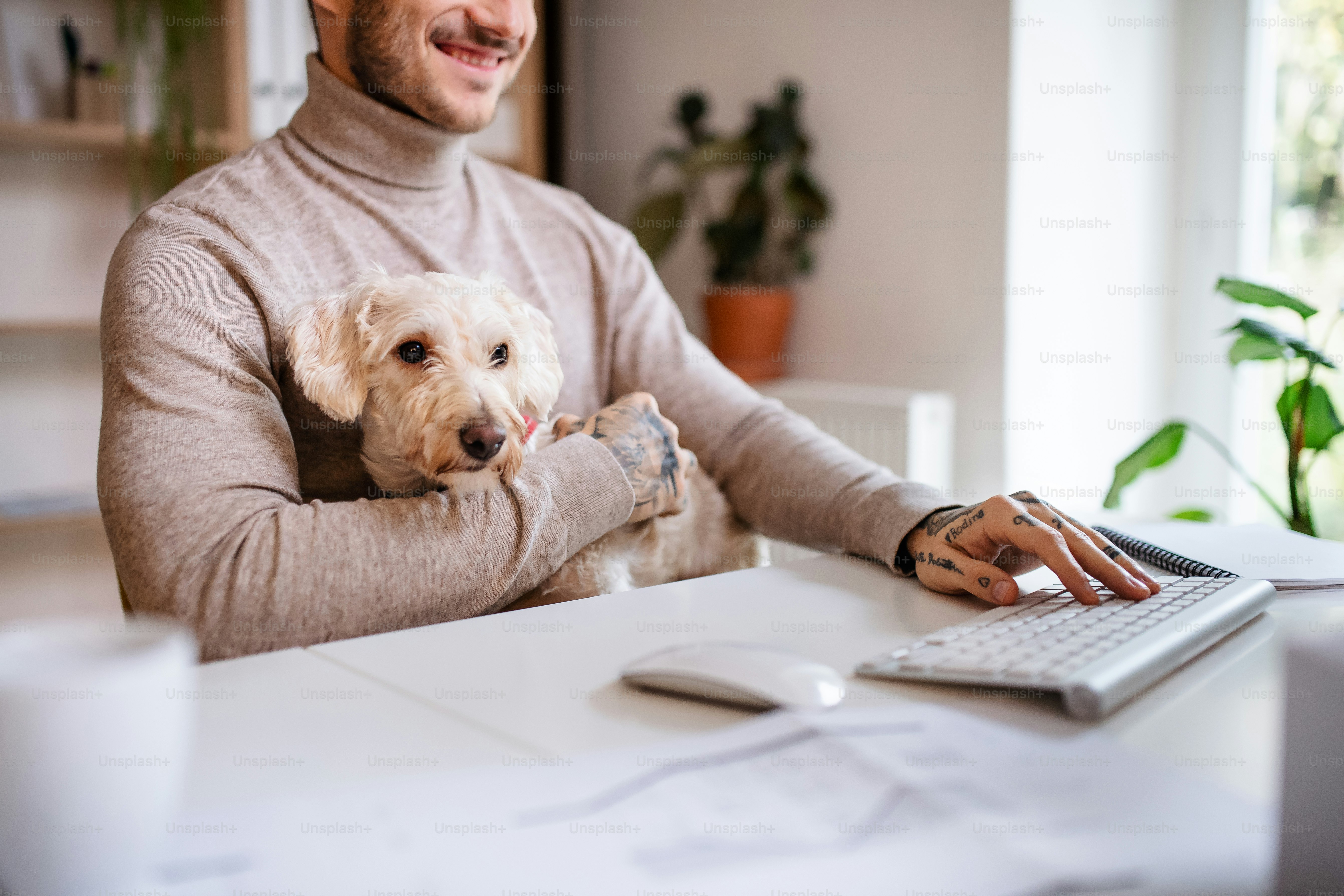 Section médiane d’un jeune homme d’affaires avec un chien assis au bureau à l’intérieur du bureau, à l’aide d’un ordinateur.