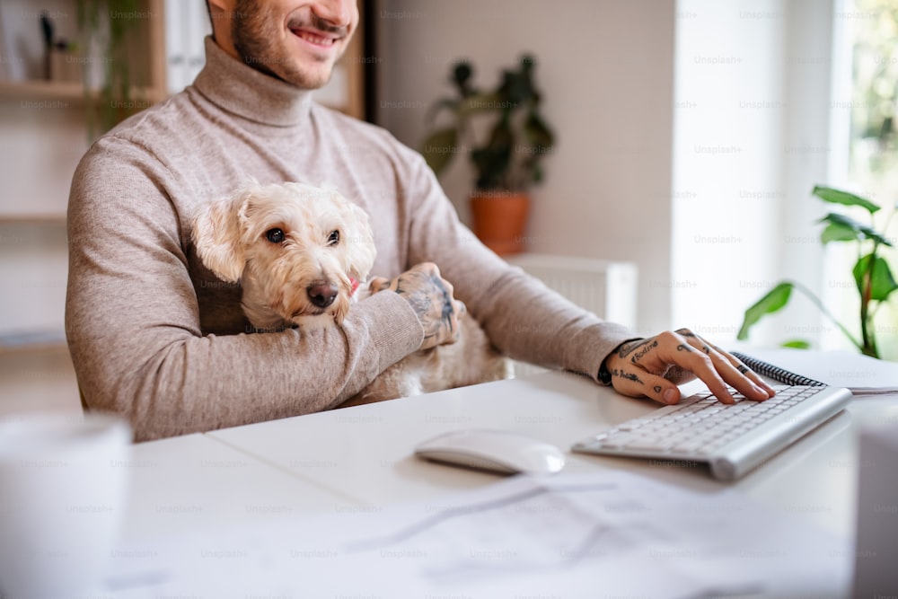 Meio-dia de jovem empresário com cachorro sentado na mesa dentro de casa no escritório, usando computador.