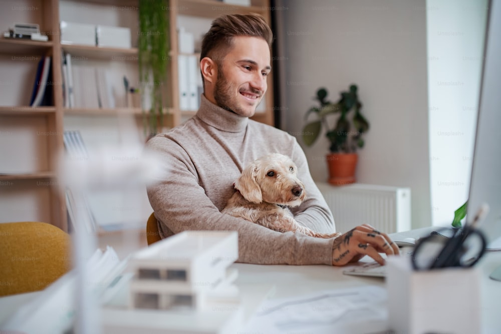 犬を持つ若い実業家が、オフィスの屋内の机に座って、コンピューターを使う。