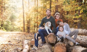 Portrait of beautiful young family with small children and dog sitting in autumn forest.
