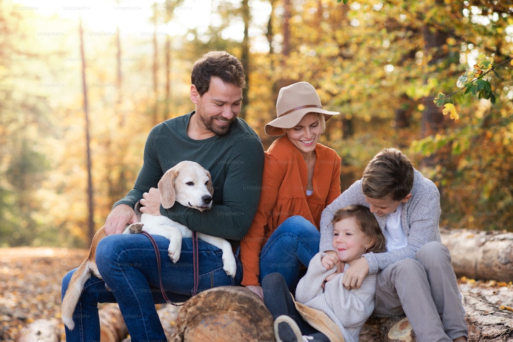 Ritratto di bella giovane famiglia con bambini piccoli e cane che si siede foresta autunnale.