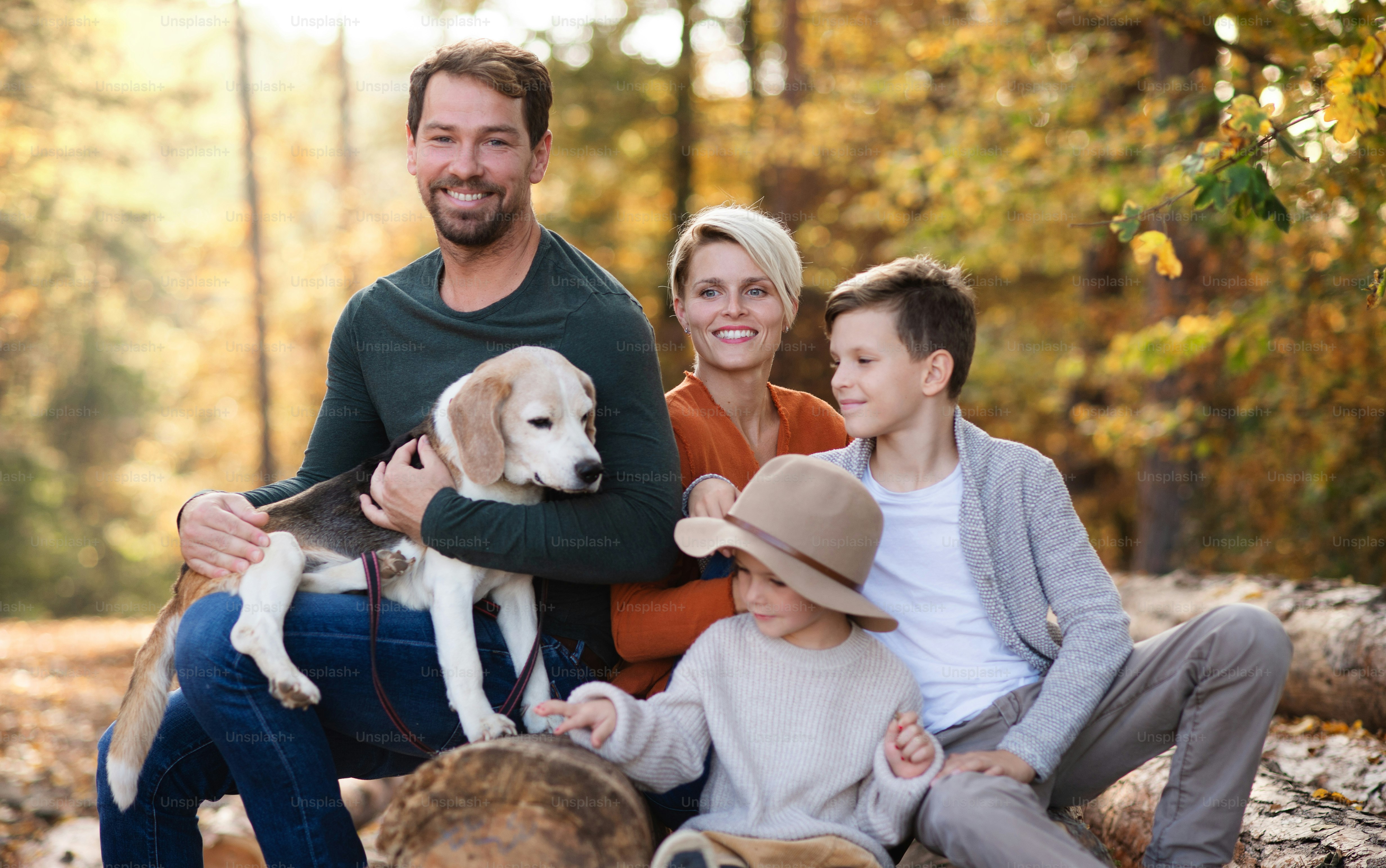 Eine schöne junge Familie mit kleinen Kindern auf einem Spaziergang im Herbstwald, mit Blick auf die Kamera.
