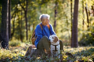森の中を散歩し、休んでいる犬を持つ幸せな年配の女性。
