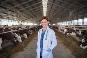Front view of woman veterinary doctor standing on diary farm, agriculture industry.
