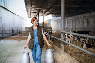 Una lavoratrice con lattine che lavora in una fattoria di diario, industria agricola.