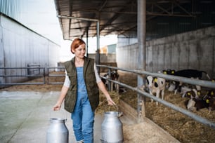 A woman worker with cans working on diary farm, agriculture industry.