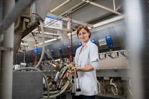 Woman manager standing on diary farm, milking technology in agriculture industry.