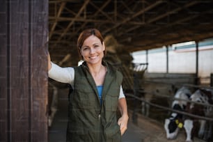 Woman worker standing on diary farm, looking at camera. Agriculture industry.