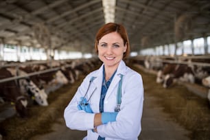 Front view of woman veterinary doctor standing on diary farm, agriculture industry.