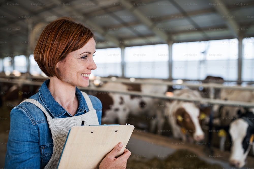 Woman manager with clipboard working on diary farm, agriculture industry. Copy space.