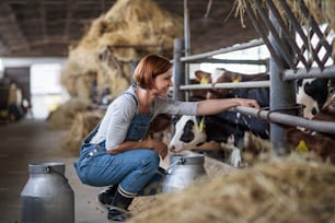 Eine Arbeiterin mit Heu arbeitet auf einer Milchfarm in der Landwirtschaft.