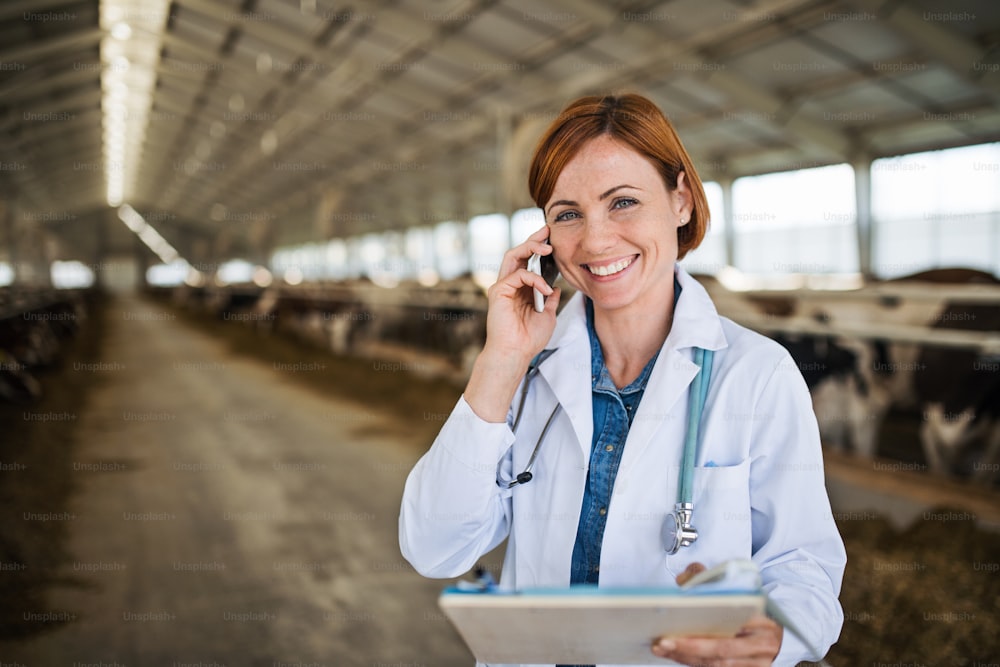 Une femme médecin vétérinaire travaillant dans une ferme laitière, dans l’industrie agricole.
