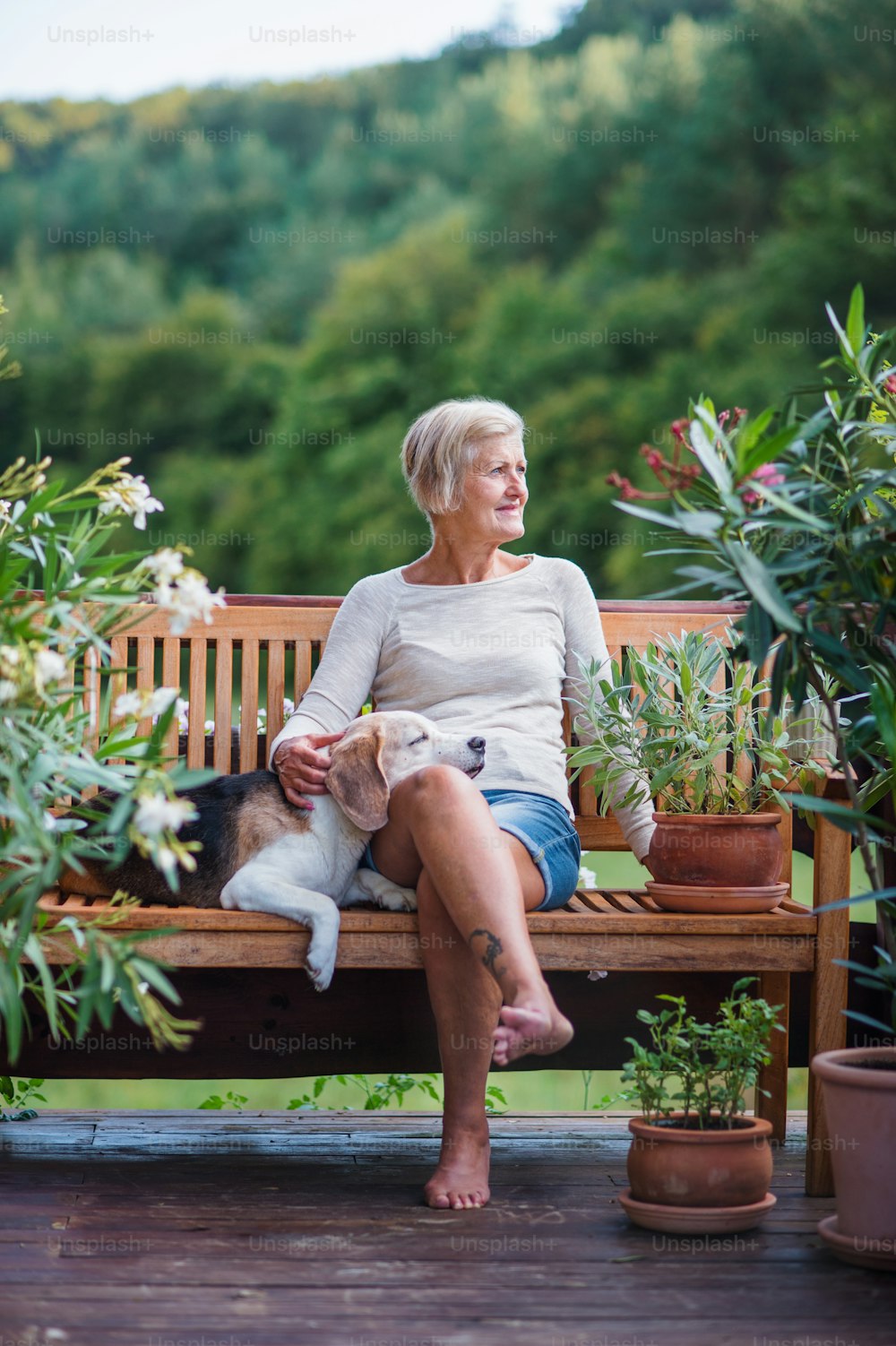 Una mujer mayor con un perro sentada al aire libre en una terraza en un día soleado de verano, descansando.