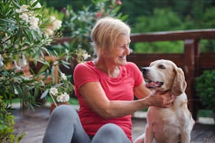 Une femme âgée avec un chien à l’extérieur sur une terrasse en été, se reposant après l’exercice.