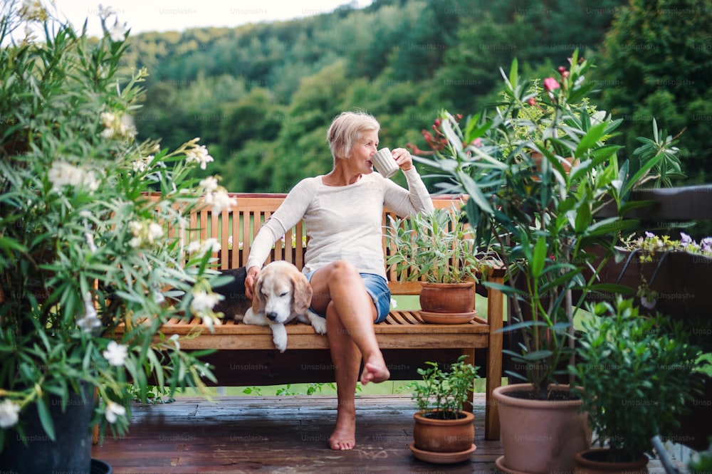 Una donna anziana con un cane e un caffè seduti all'aperto su una terrazza in una giornata di sole in estate.