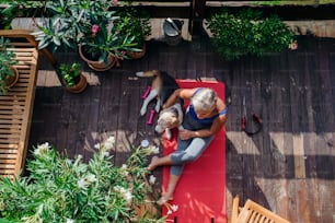 Una vista superior de una mujer mayor con perro al aire libre en una terraza en verano, haciendo ejercicio en colchoneta.