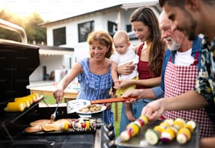 Portrait d’une famille multigénérationnelle en plein air sur barbecue de jardin, grillades et conversation.