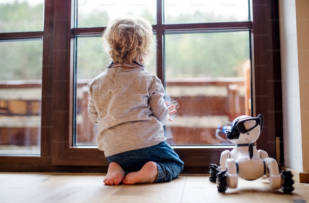 家の屋内の床に座ってロボット犬と遊ぶかわいい幼児の男の子の背面図。