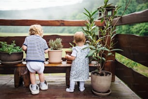 A rear view of two toddler children standing outdoors on a terrace in summer.