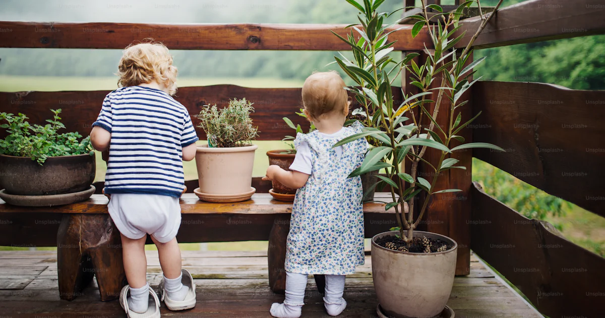 A rear view of two toddler children standing outdoors on a terrace in ...