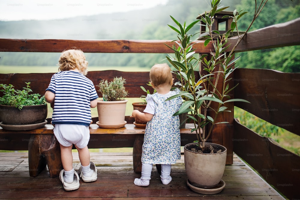 A rear view of two toddler children standing outdoors on a terrace in summer.