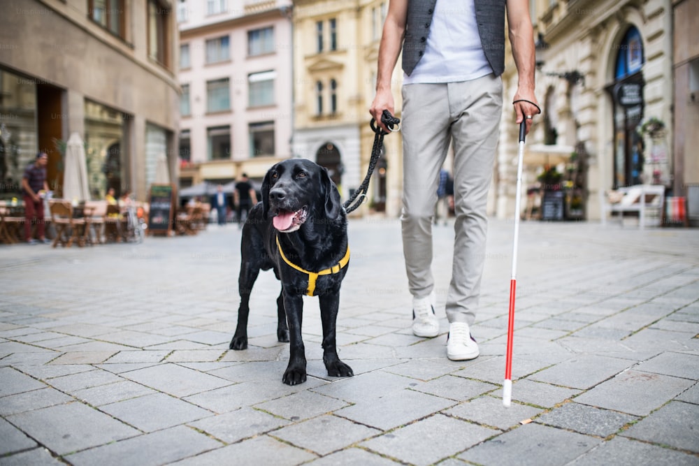 Unkenntlicher junger blinder Mann mit weißem Stock und Blindenhund, der in der Stadt auf dem Bürgersteig läuft.