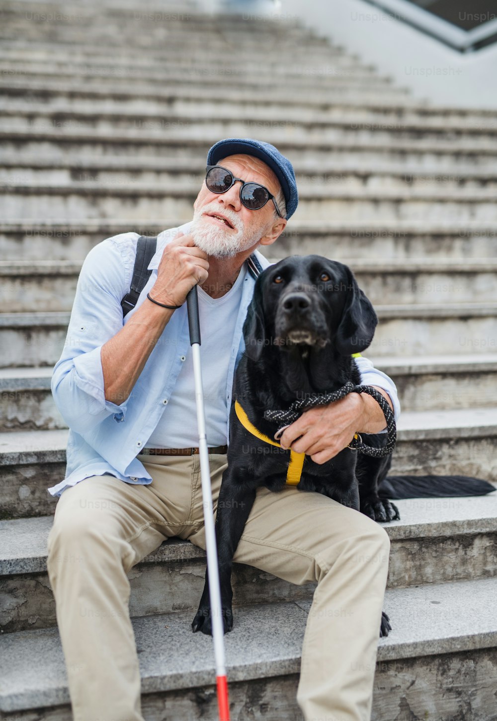 Vista frontal del ciego mayor con perro guía sentado en las escaleras de la ciudad, descansando.