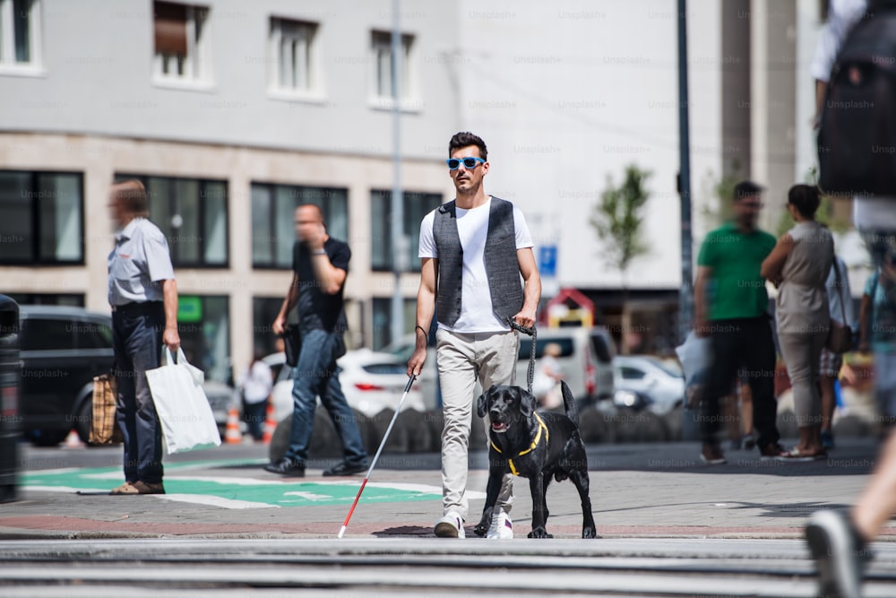 A young blind man with white cane and guide dog walking on pavement in city.