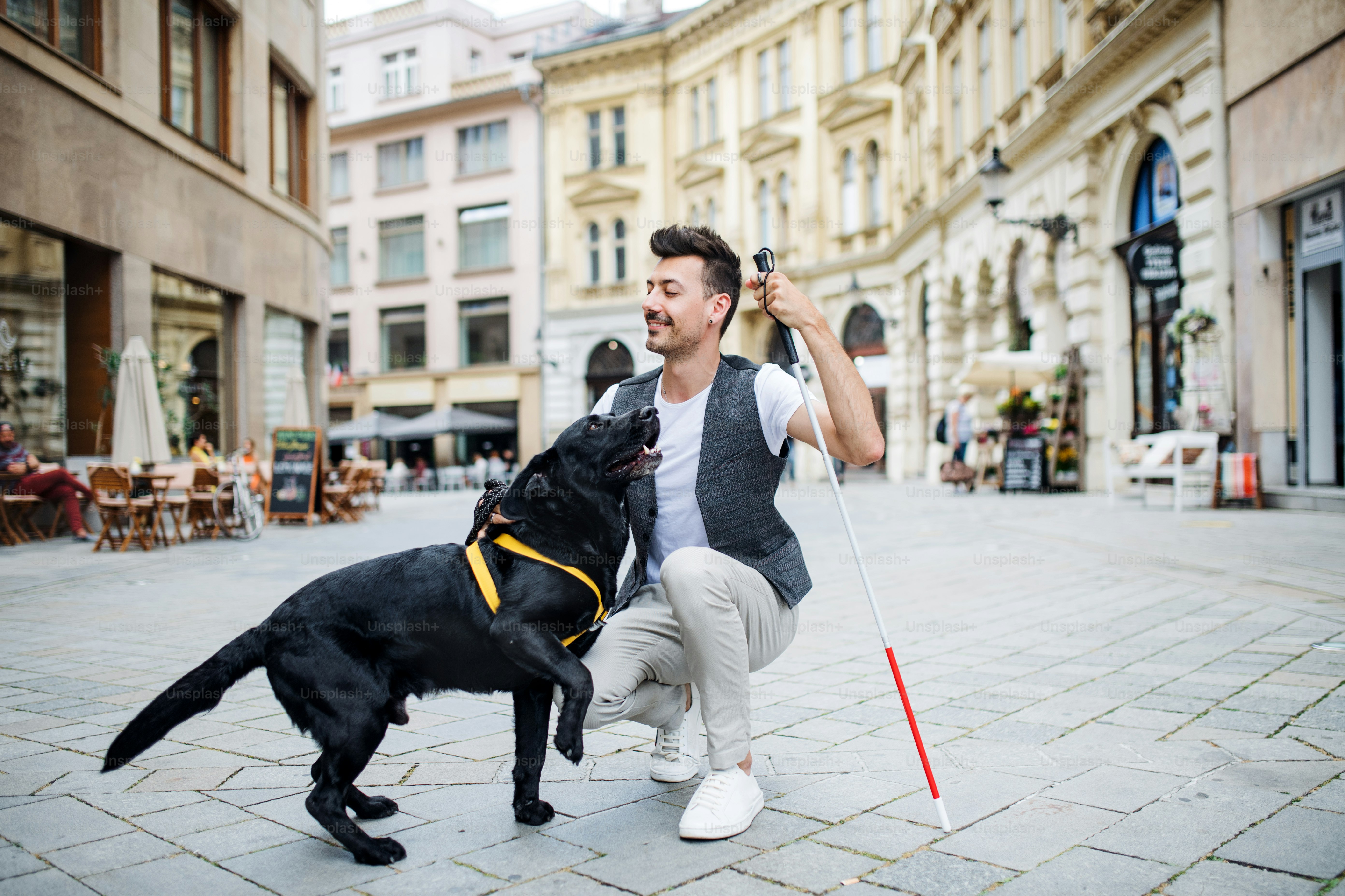 A young blind man with white cane and guide dog on pedestrain zone in city.