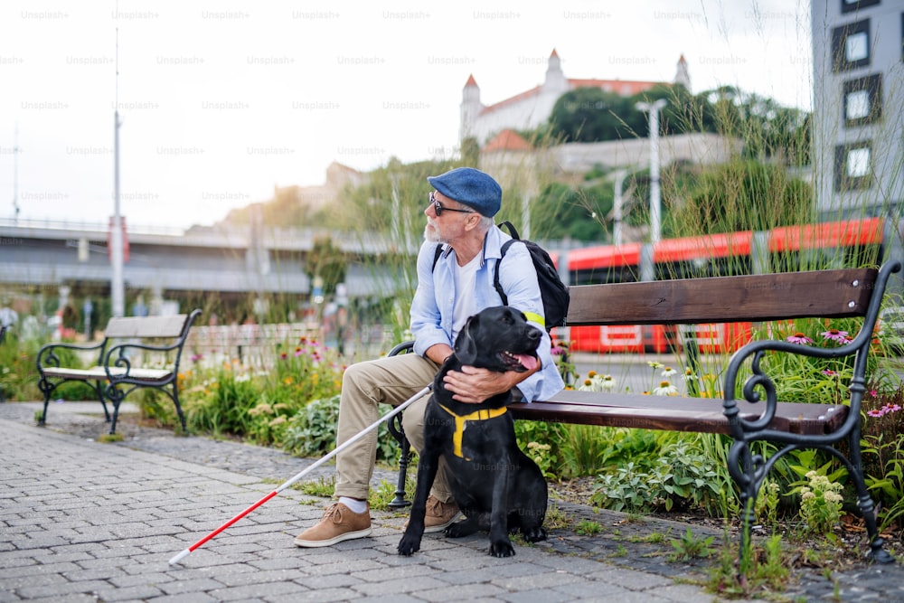 Älterer blinder Mann mit Blindenhund und weißem Stock sitzt auf einer Bank im Park in der Stadt.