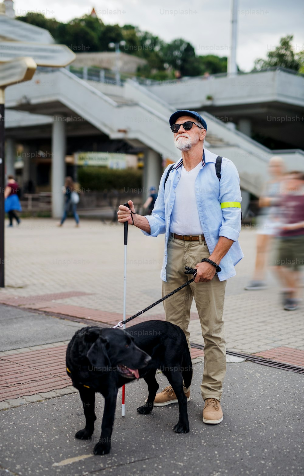 A senior blind man with guide dog standing outdoors in city.