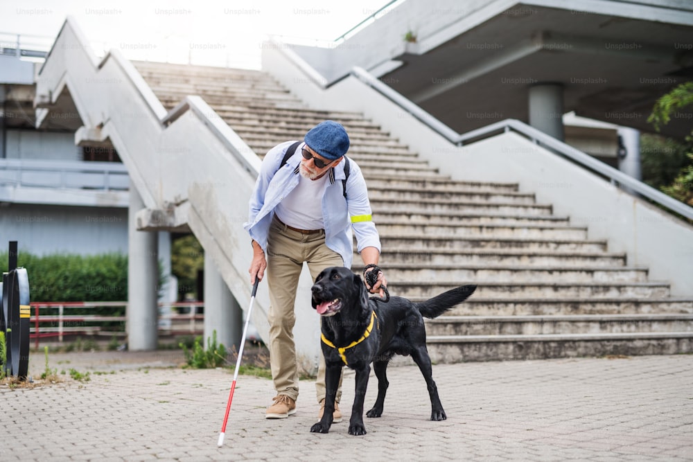Ein älterer blinder Mann mit Blindenhund steht an der Treppe in der Stadt.