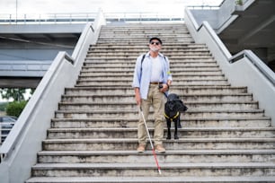 A senior blind man with guide dog walking down the stairs in city.