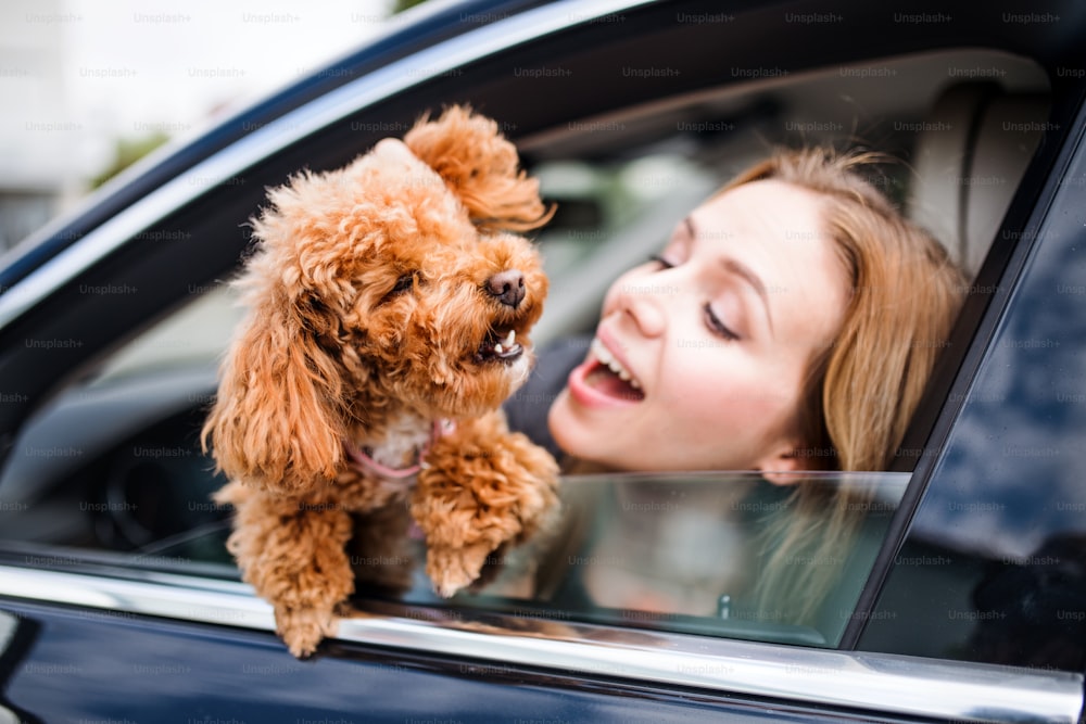Eine junge Fahrerin mit einem Hund sitzt im Auto und schaut aus dem Fenster.