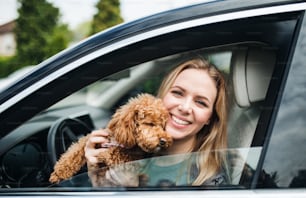 A young woman driver with a dog sitting in car, looking out of window.