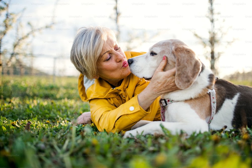 Eine Vorderansicht einer älteren Frau, die im Frühling auf Gras liegt und einen Hund küsst.