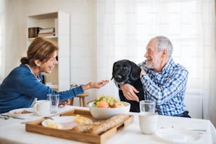 Una coppia anziana felice con un cane da compagnia seduto al tavolo di casa, facendo colazione.
