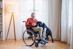 Un anziano disabile in sedia a rotelle al chiuso che gioca con un cane domestico a casa. Copia spazio.