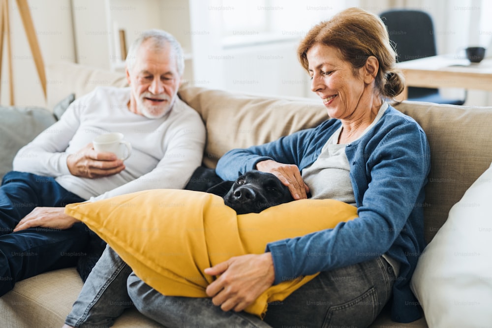 Ein glückliches älteres Paar mit einem Hund, der drinnen zu Hause auf einem Sofa sitzt.