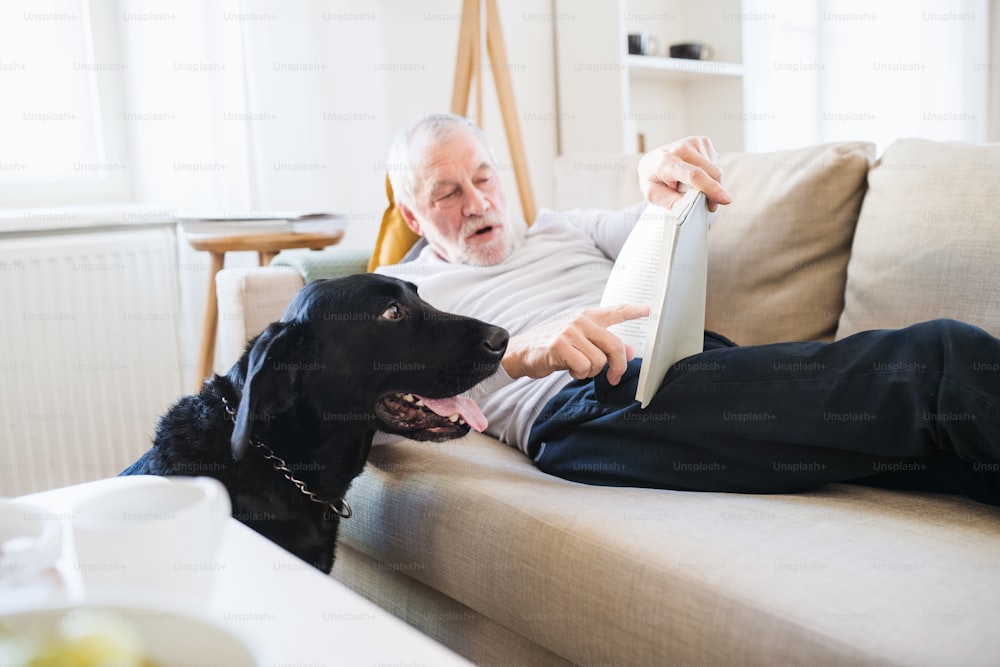 Um homem idoso feliz deitado em um sofá dentro de casa, brincando com um cachorro de estimação, lendo um livro.