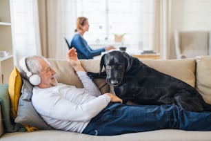 Um casal de idosos felizes dentro de casa com um cão de estimação preto em casa, usando laptop e fones de ouvido.