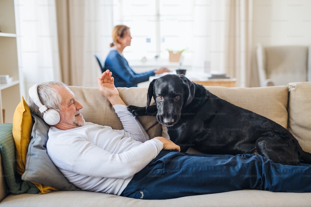 Una feliz pareja de ancianos en el interior con un perro negro en casa, usando computadora portátil y auriculares.