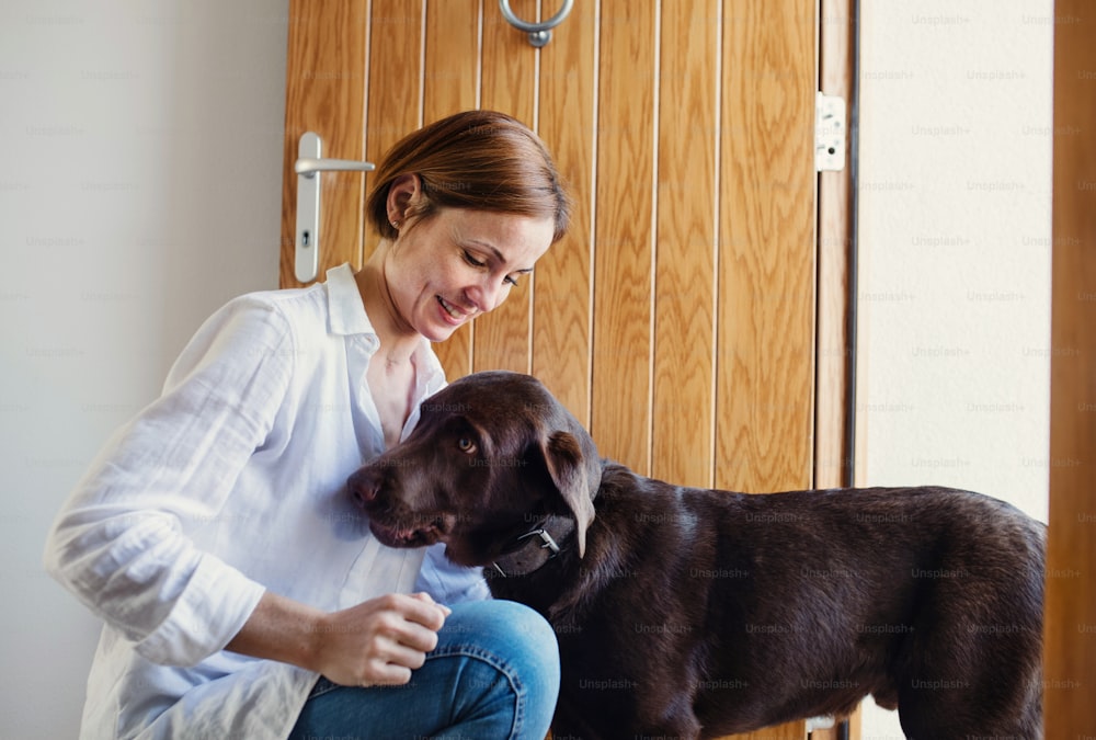 A happy young woman sitting indoors by the door on the floor at home, playing with a dog.