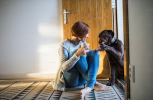 A young woman with a cup of coffee sitting indoors by the door on the floor at home, playing with a dog. Copy space.