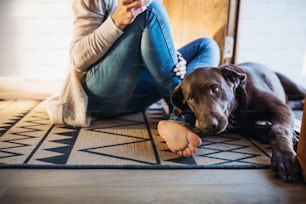 Ein Mittelteil einer barfüßigen jungen Frau mit einem Hund, der zu Hause drinnen auf dem Boden sitzt.
