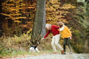 Una pareja de ancianos felices con un perro en un paseo en una naturaleza otoñal.