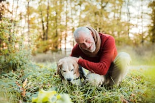 가을의 햇볕이 잘 드는 자연 속에서 산책하는 개를 데리고 있는 행복한 노인.