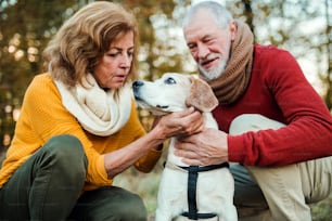 A happy senior couple with a dog on a walk in an autumn nature at sunset.