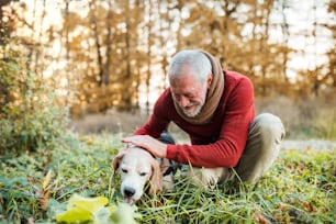 A happy senior man with a dog on a walk in an autumn nature at sunset.